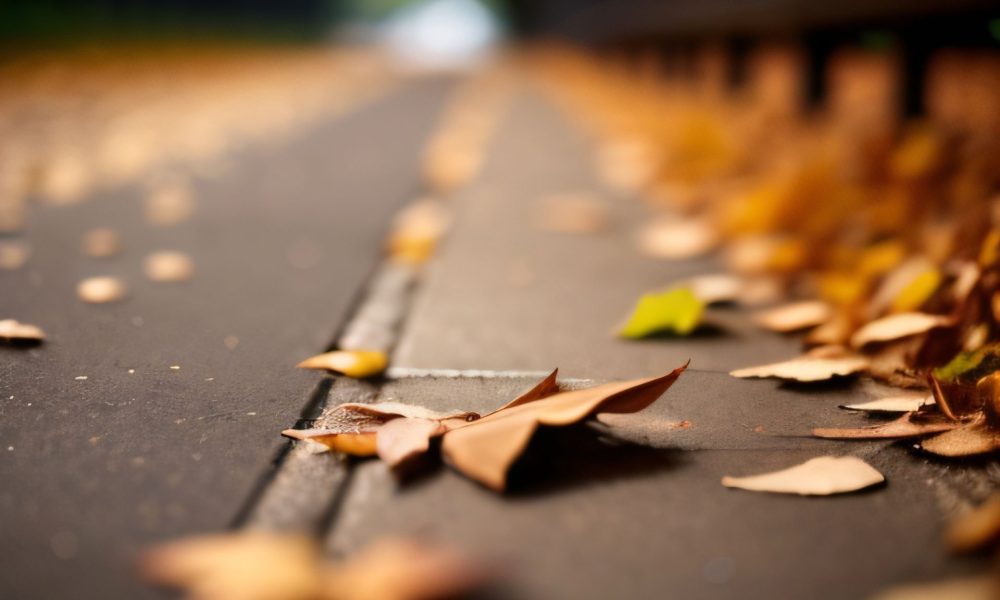 autumn-bokeh