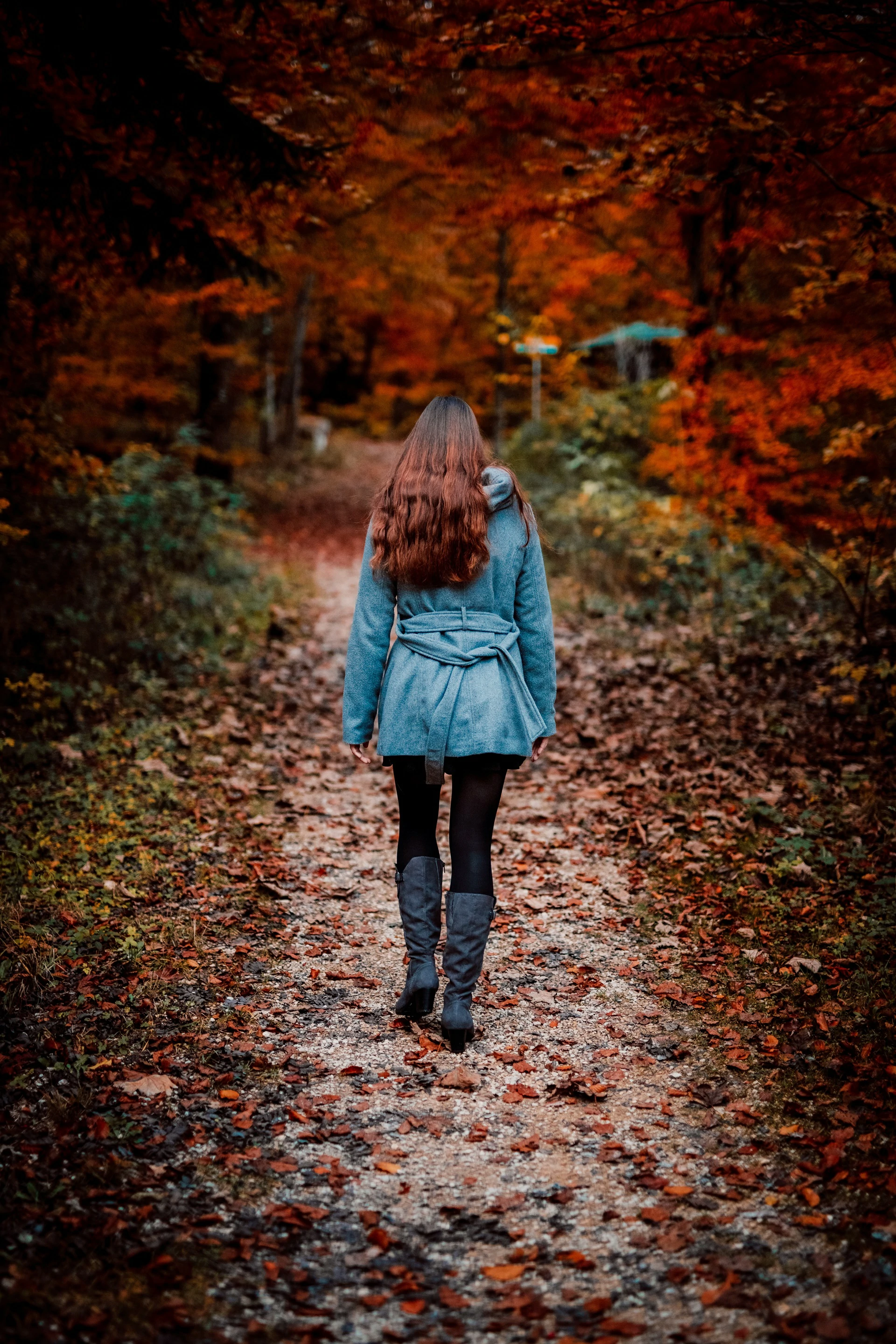 marcel strauss OoYlkfbNUM4 unsplash