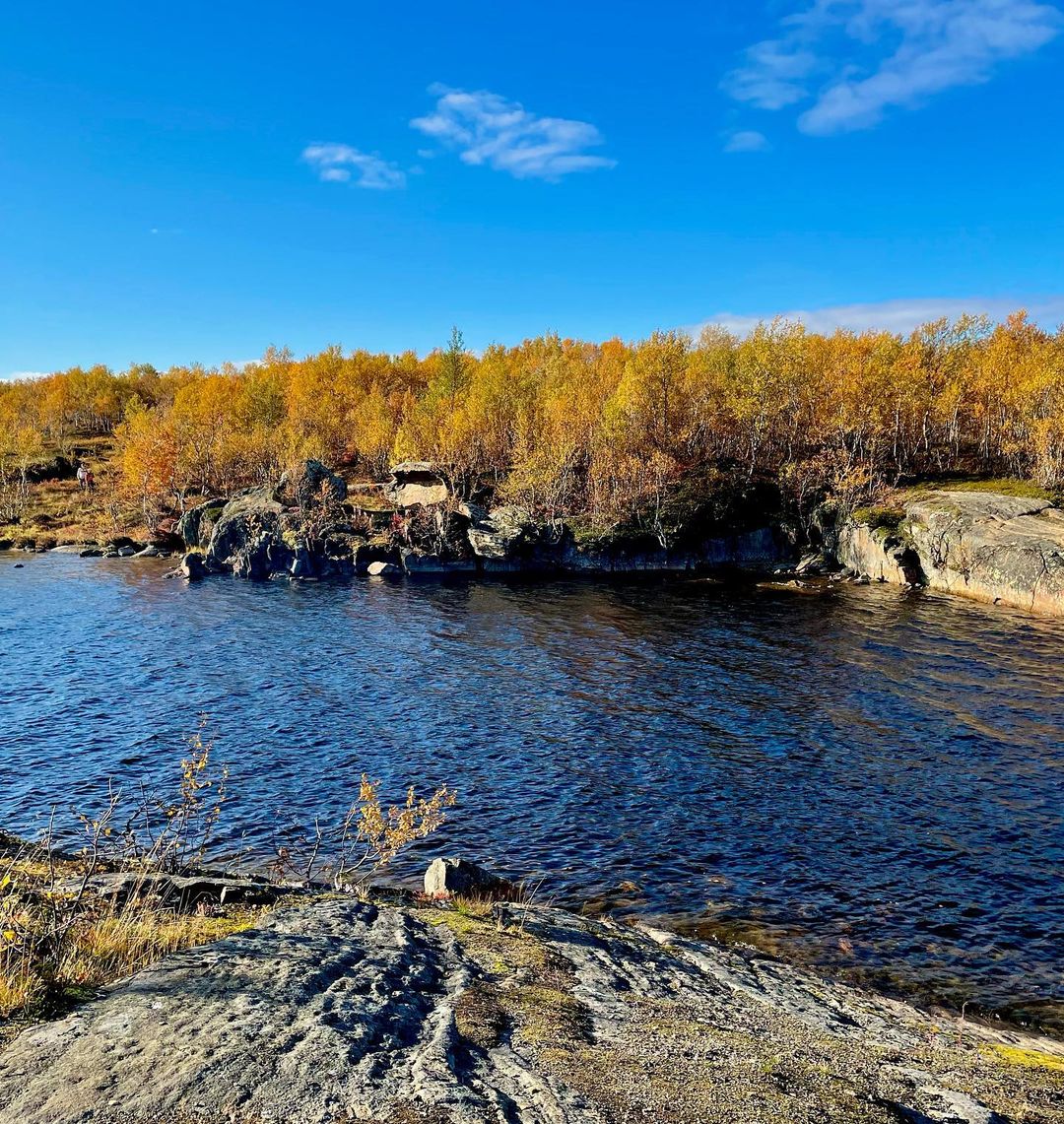 irinabrizitskaya (10)