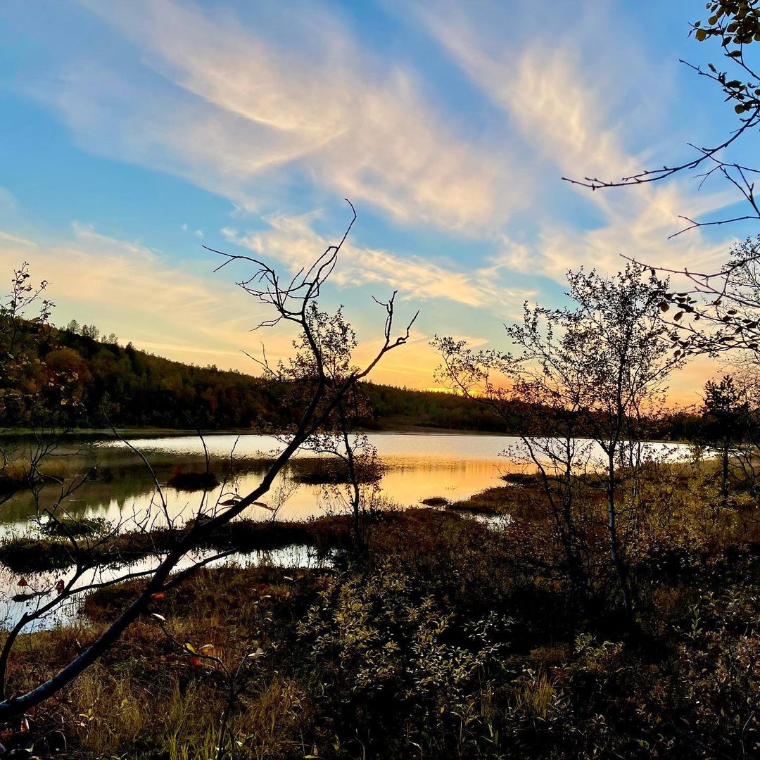 irinabrizitskaya (1)