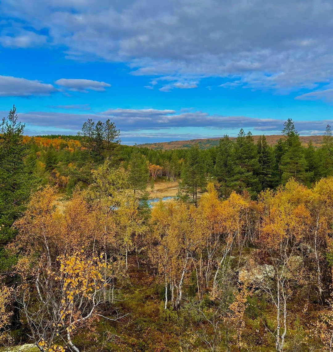 irinabrizitskaya (2)