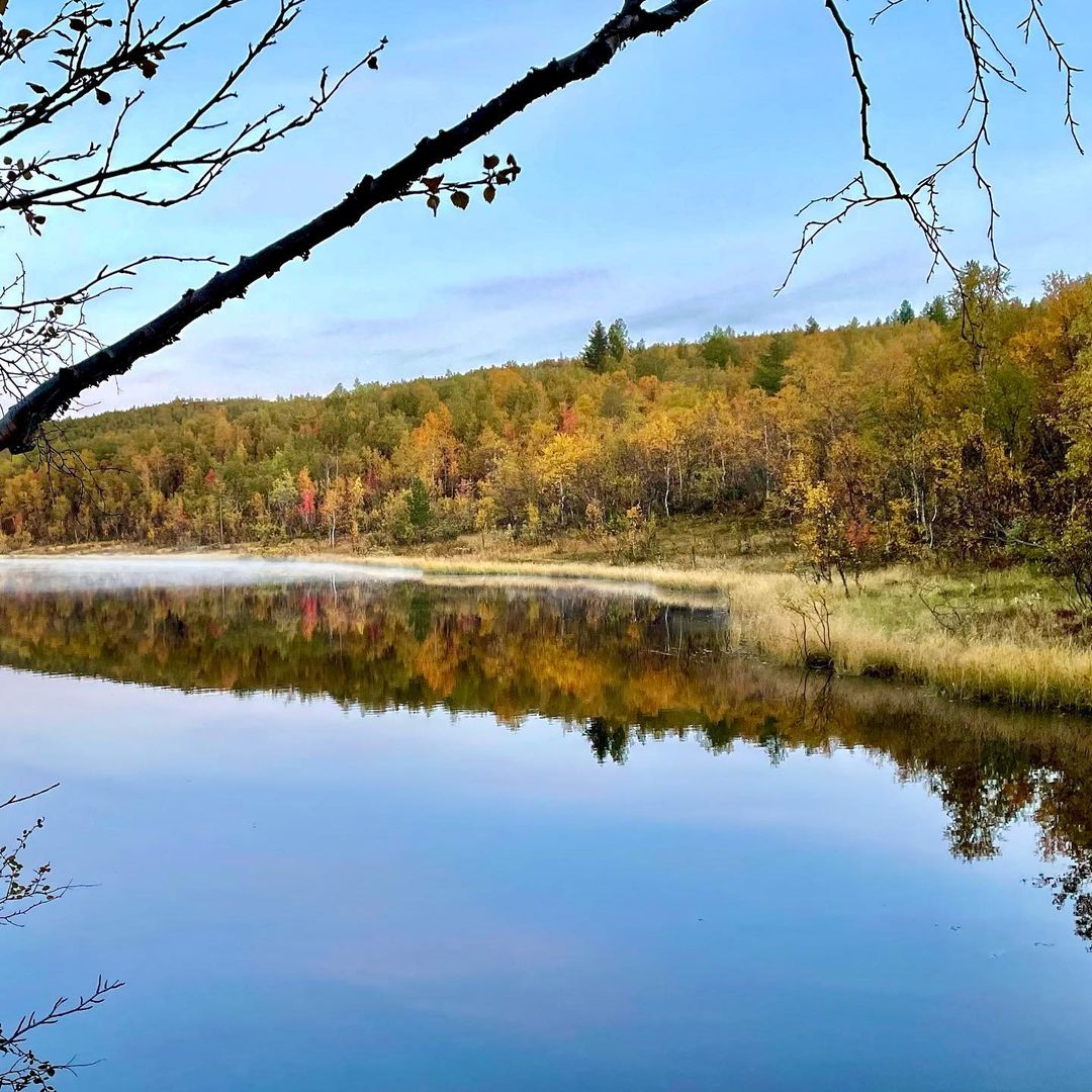 irinabrizitskaya (2)