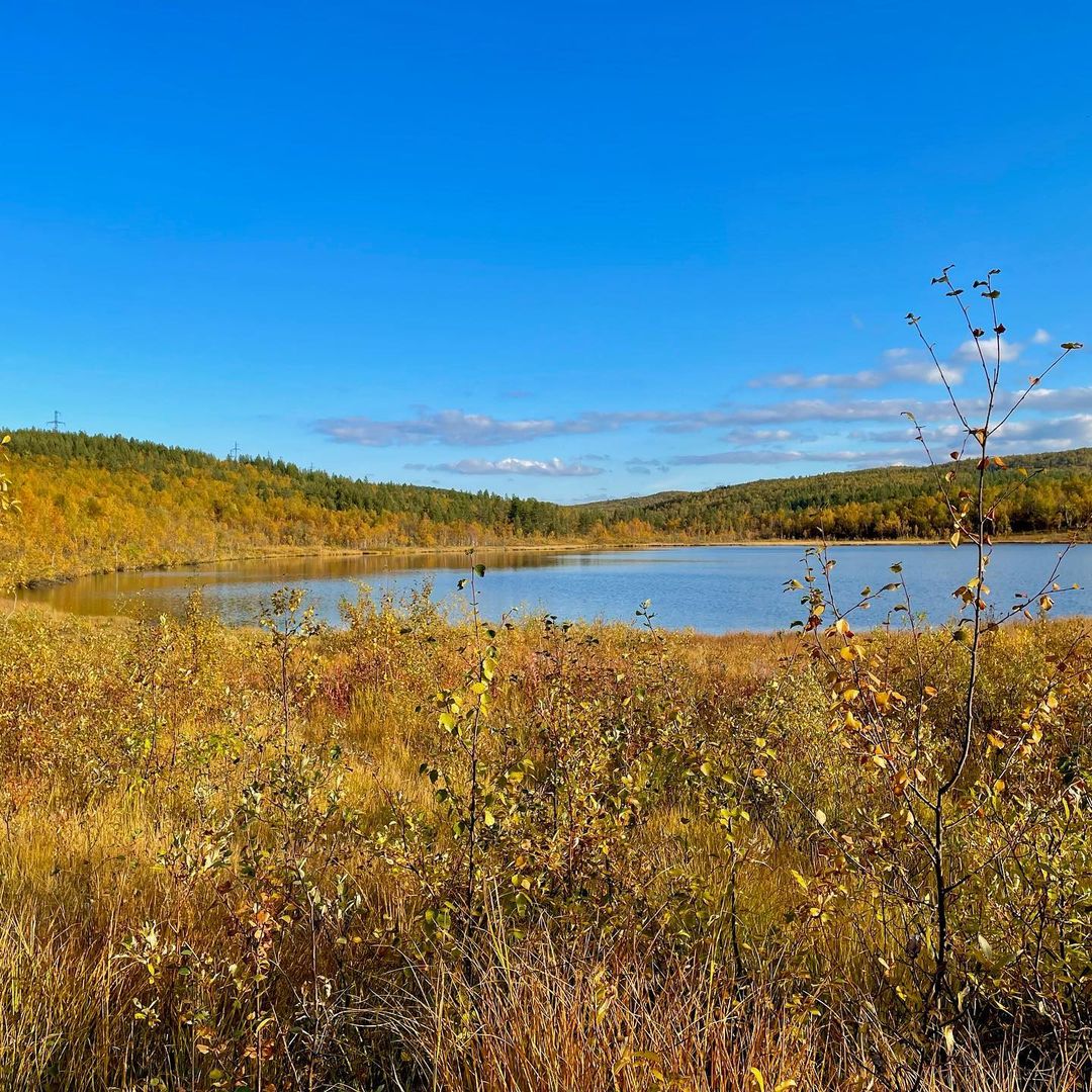 irinabrizitskaya (4)