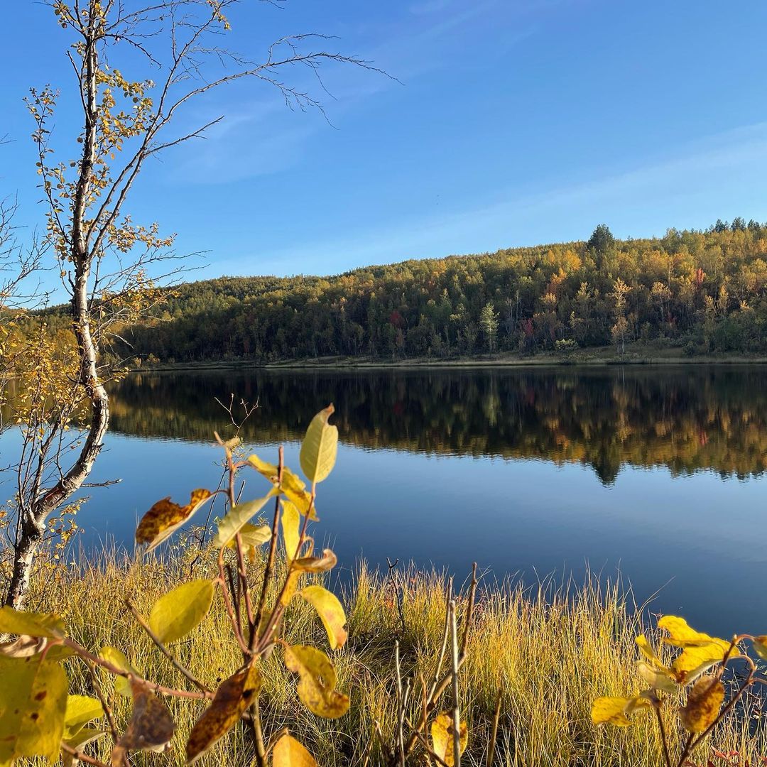 irinabrizitskaya (5)