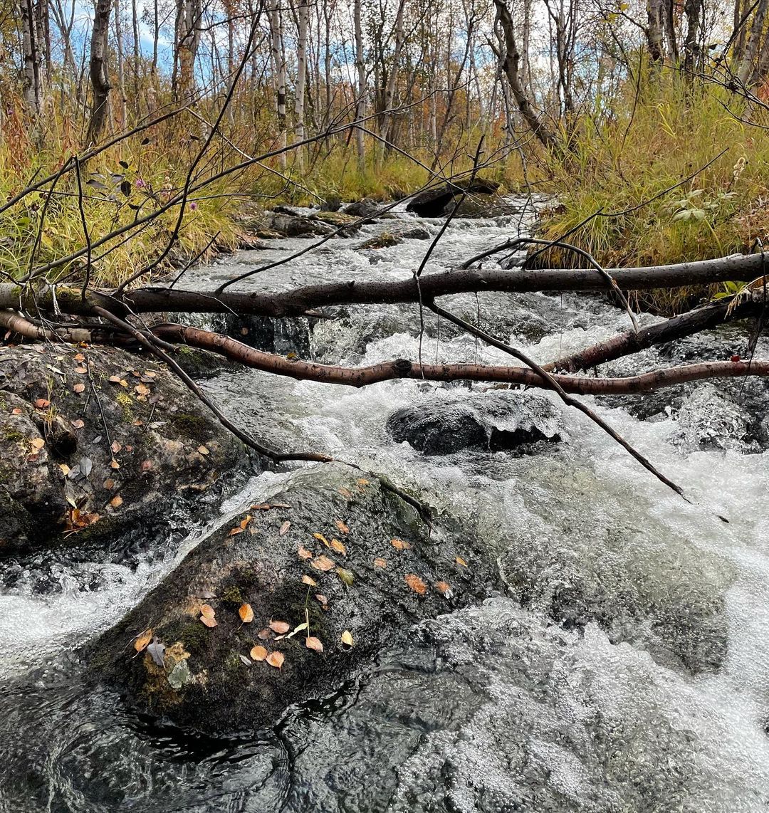irinabrizitskaya (8)