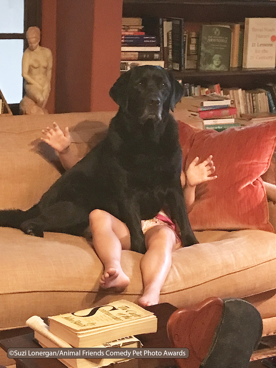Comedy-Pet-Photo-Awards-2021-37.jpg