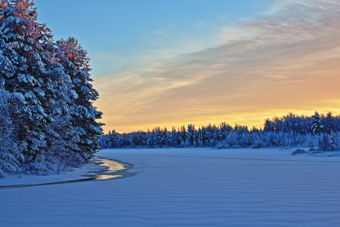 Зима в карелии. Зимняя природа Карелии. Карелия лес зима. Карелия зима 2021. Карелия зимой.