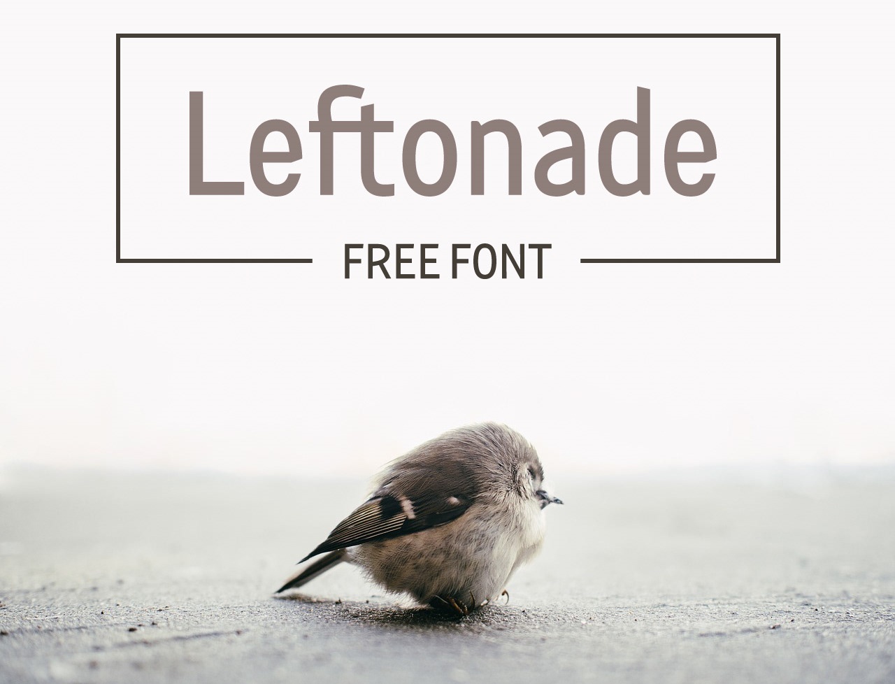 Free Font LEFTONADE
