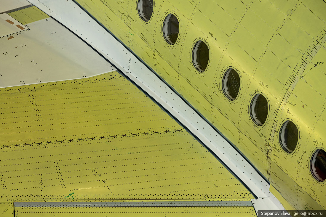 21_ssj100.jpg