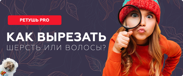 Как вырезать шерсть или волосы в photoshop