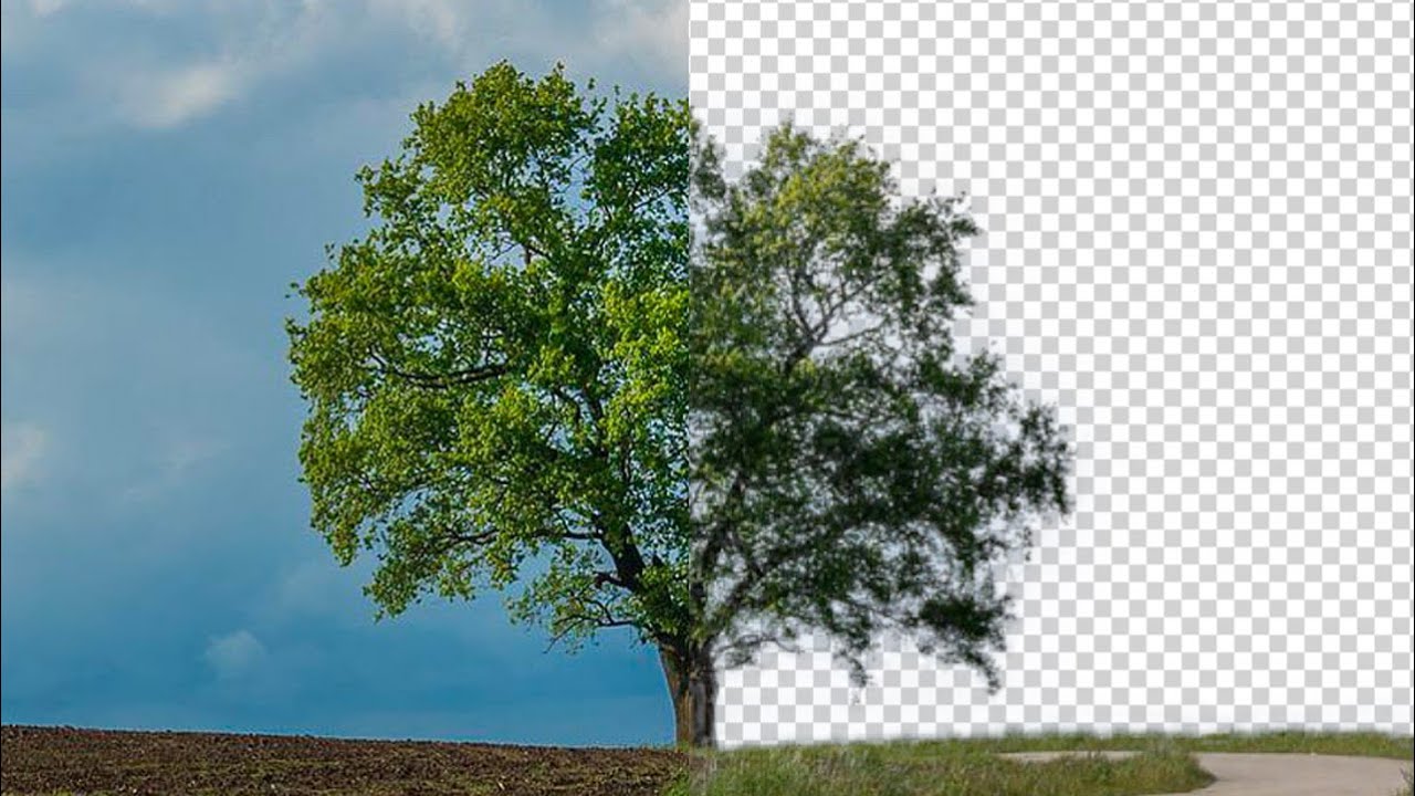 First image from post