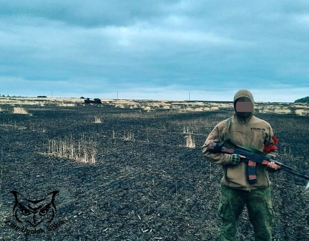 ZOV-233.jpg