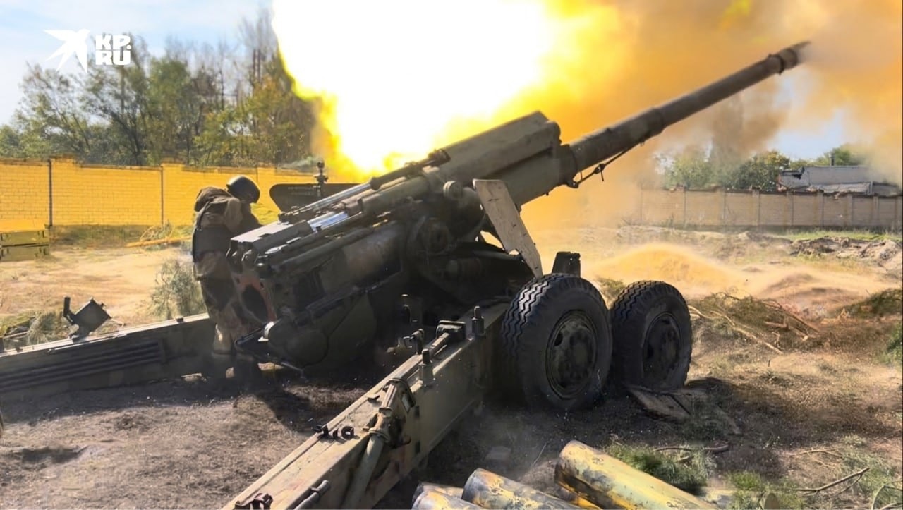 ZOV-254.jpg