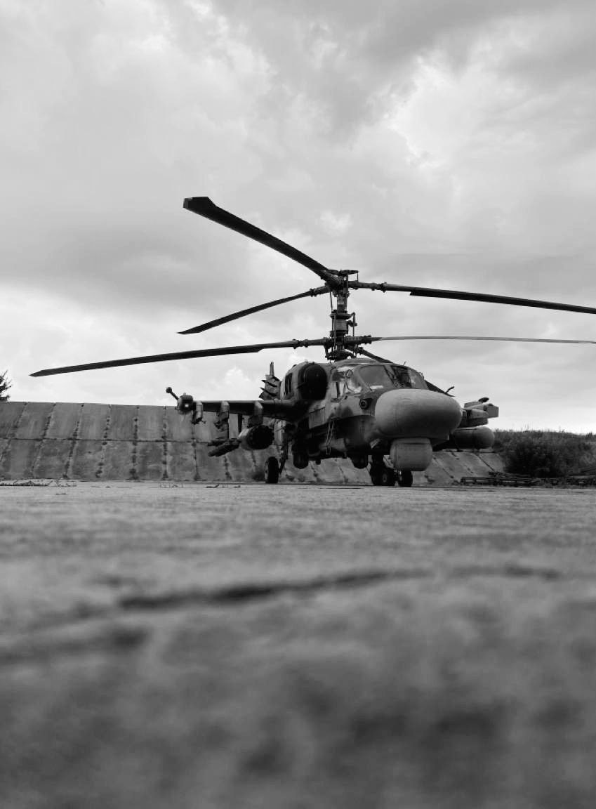 ZOV-385.jpg