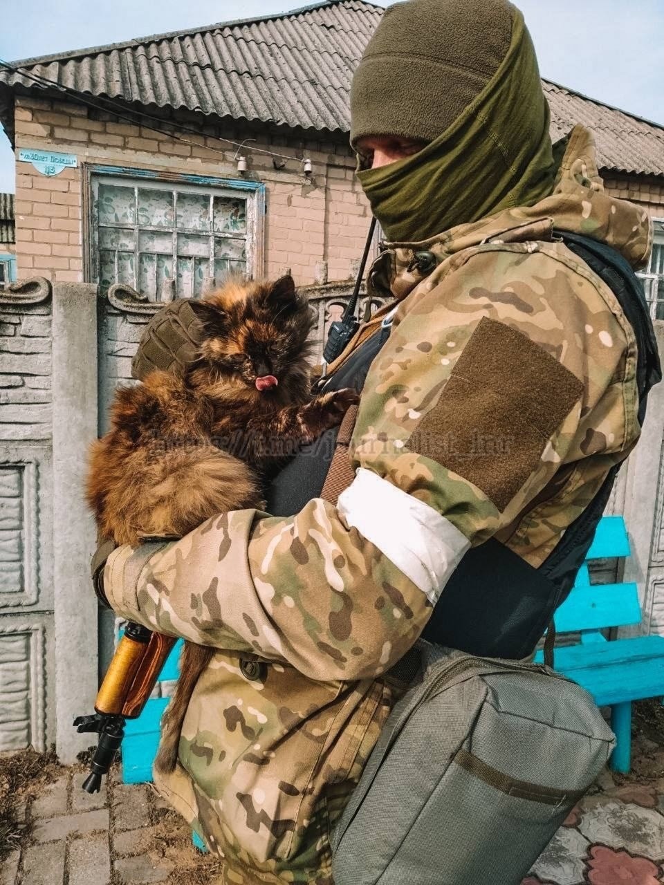ZOV-51.jpg