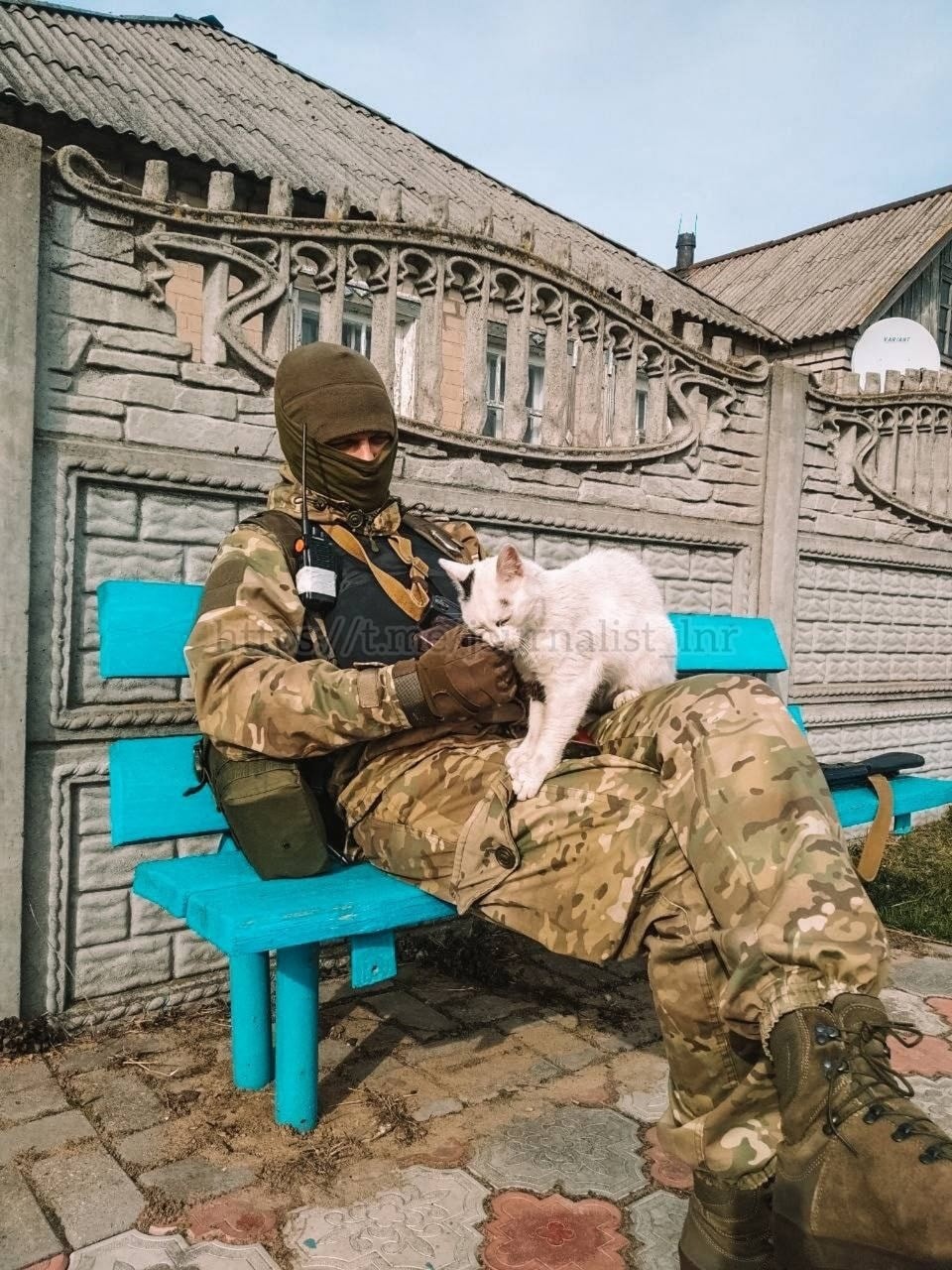 ZOV-52.jpg
