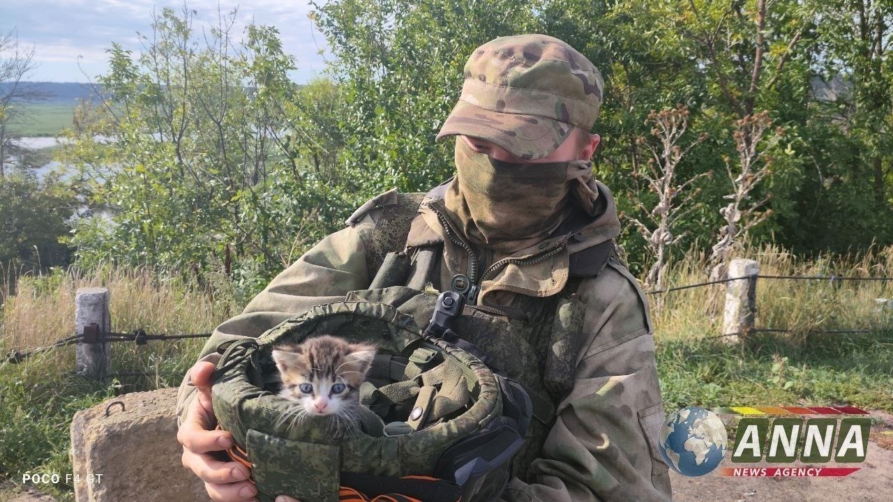 ZOV-79.jpg