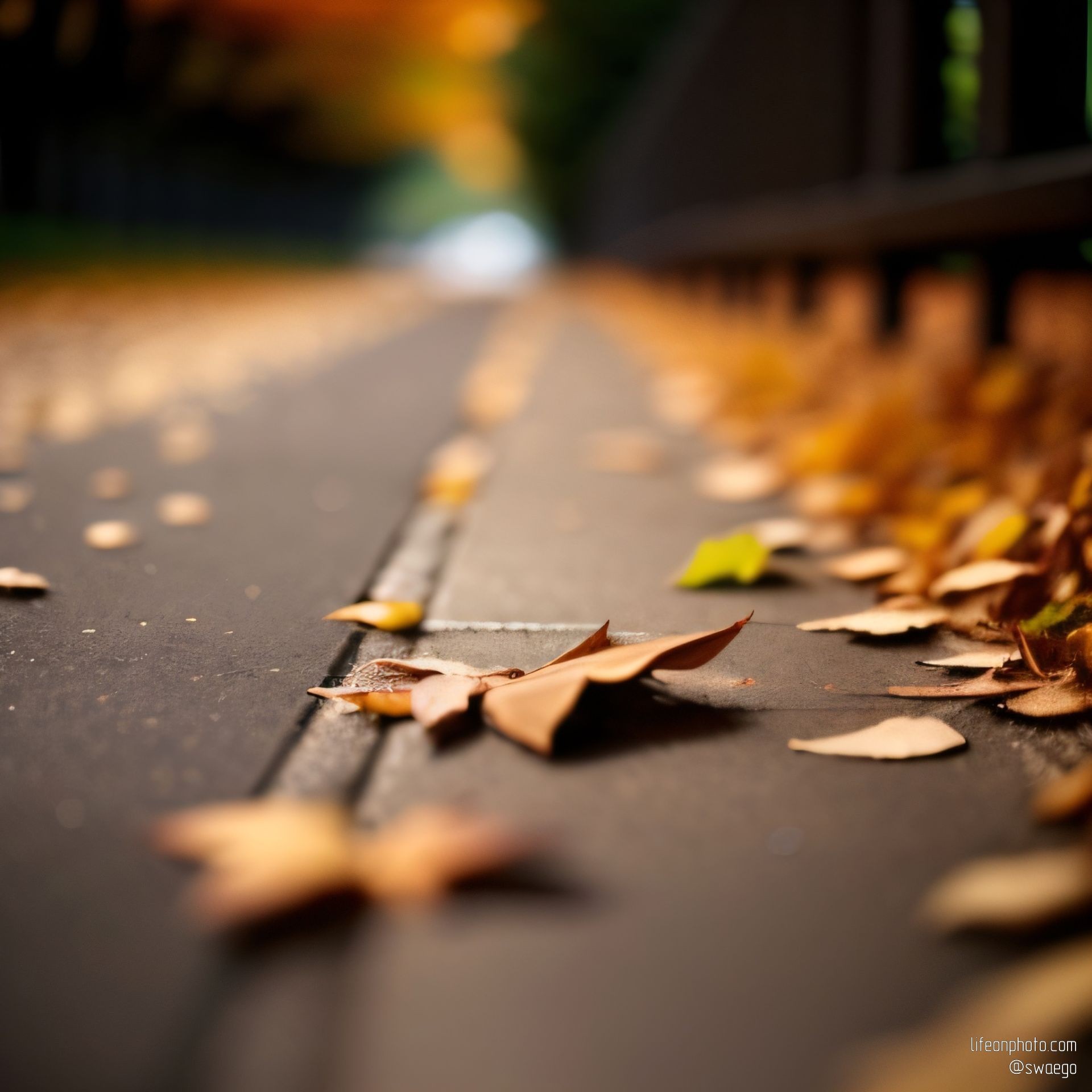 autumn bokeh ai