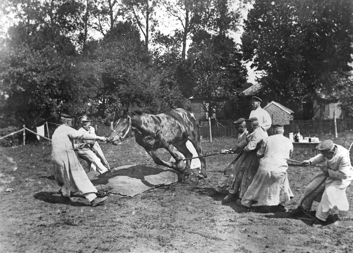 United States of the early 20th century 19