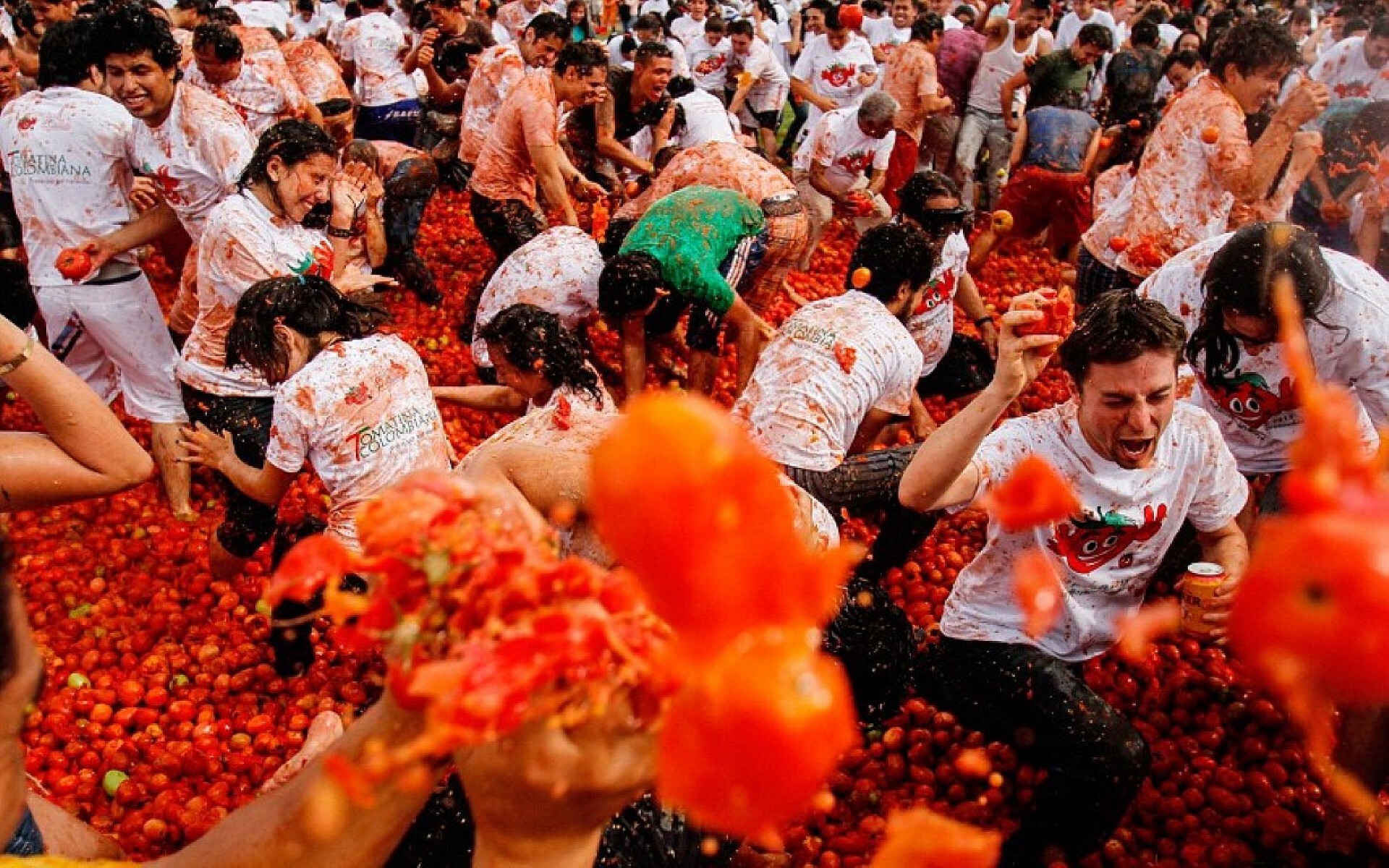 The festival Tomatina 1