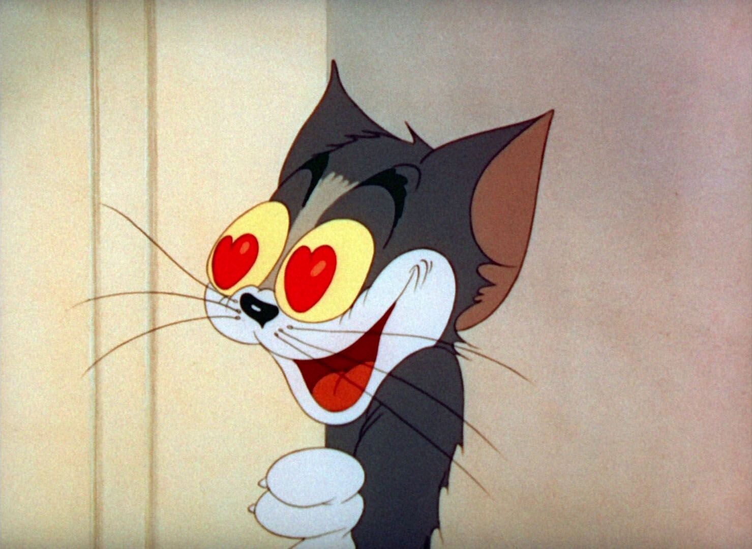 Tom the cat