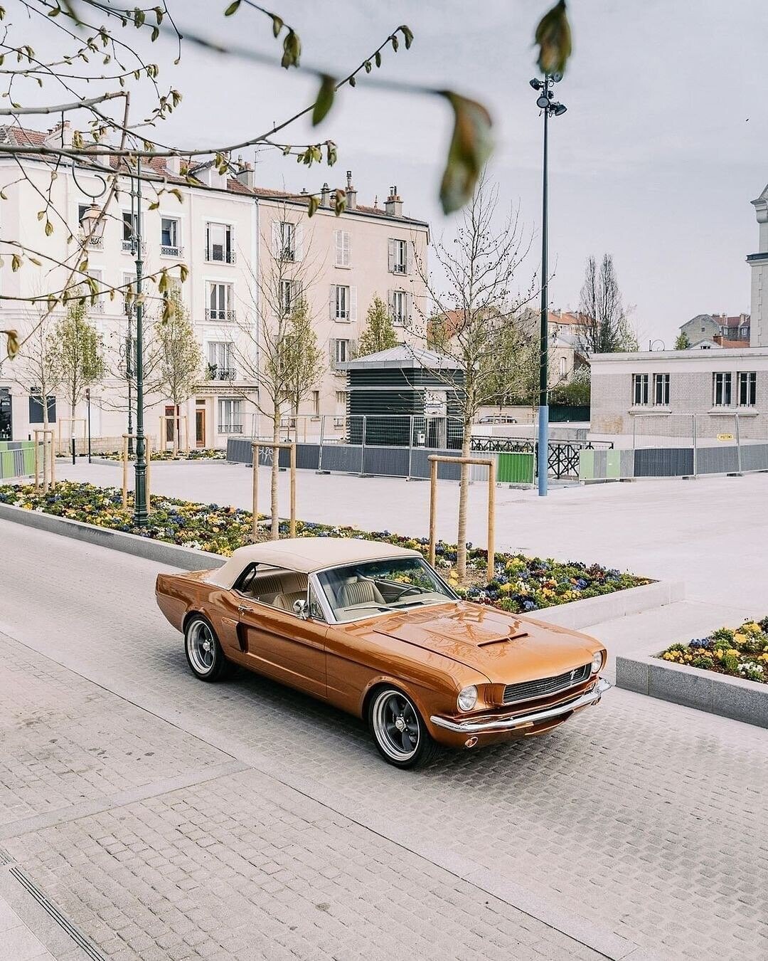 Mustang Convertible 1966 1