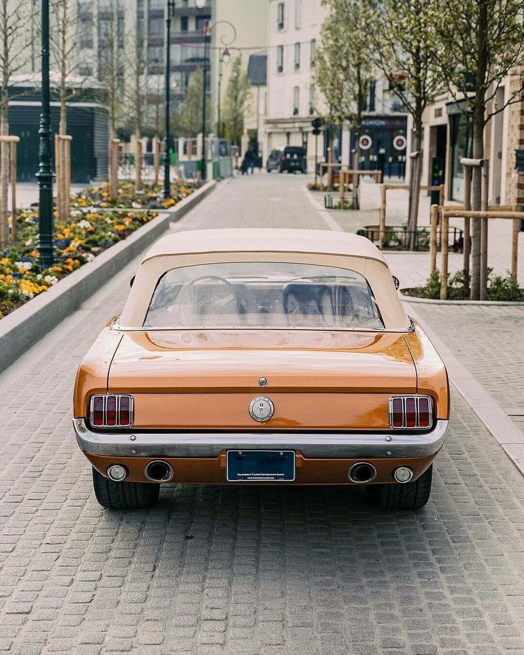 Mustang Convertible 1966