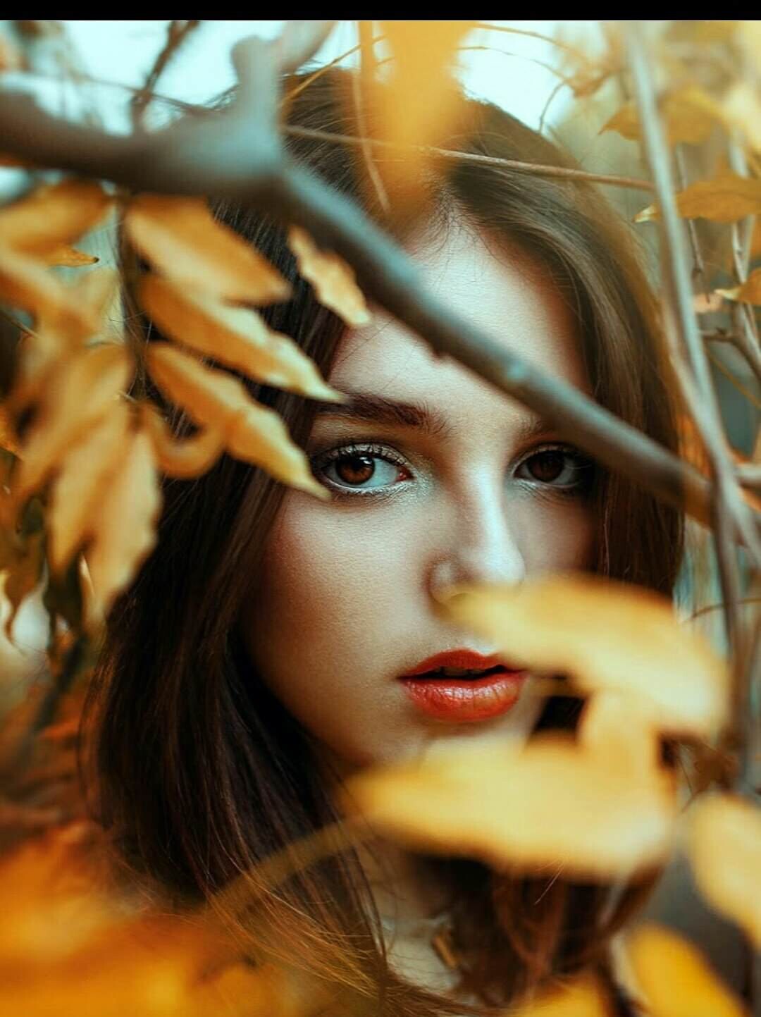 Creative ideas of autumn photos 1