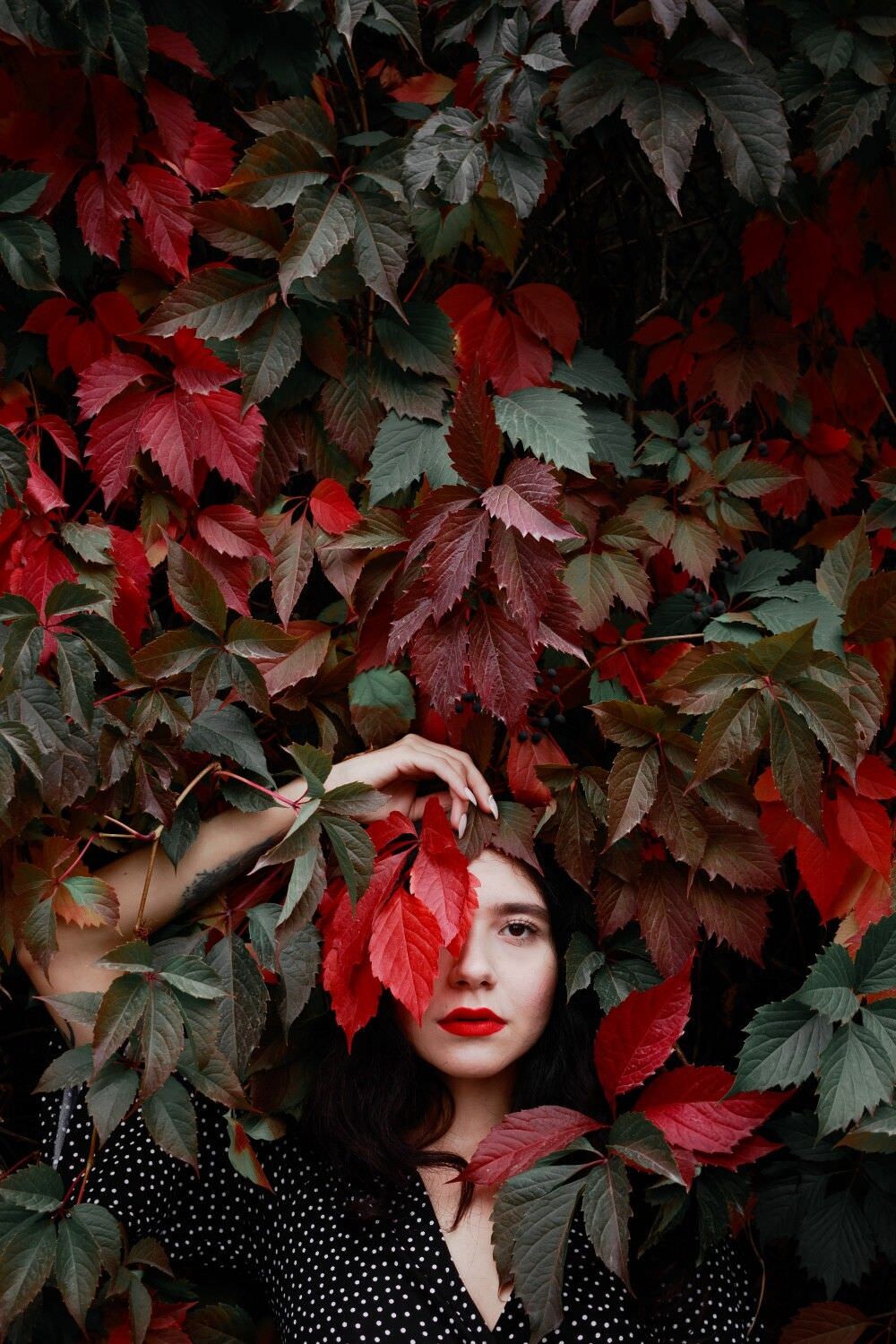 Creative ideas of autumn photos 30
