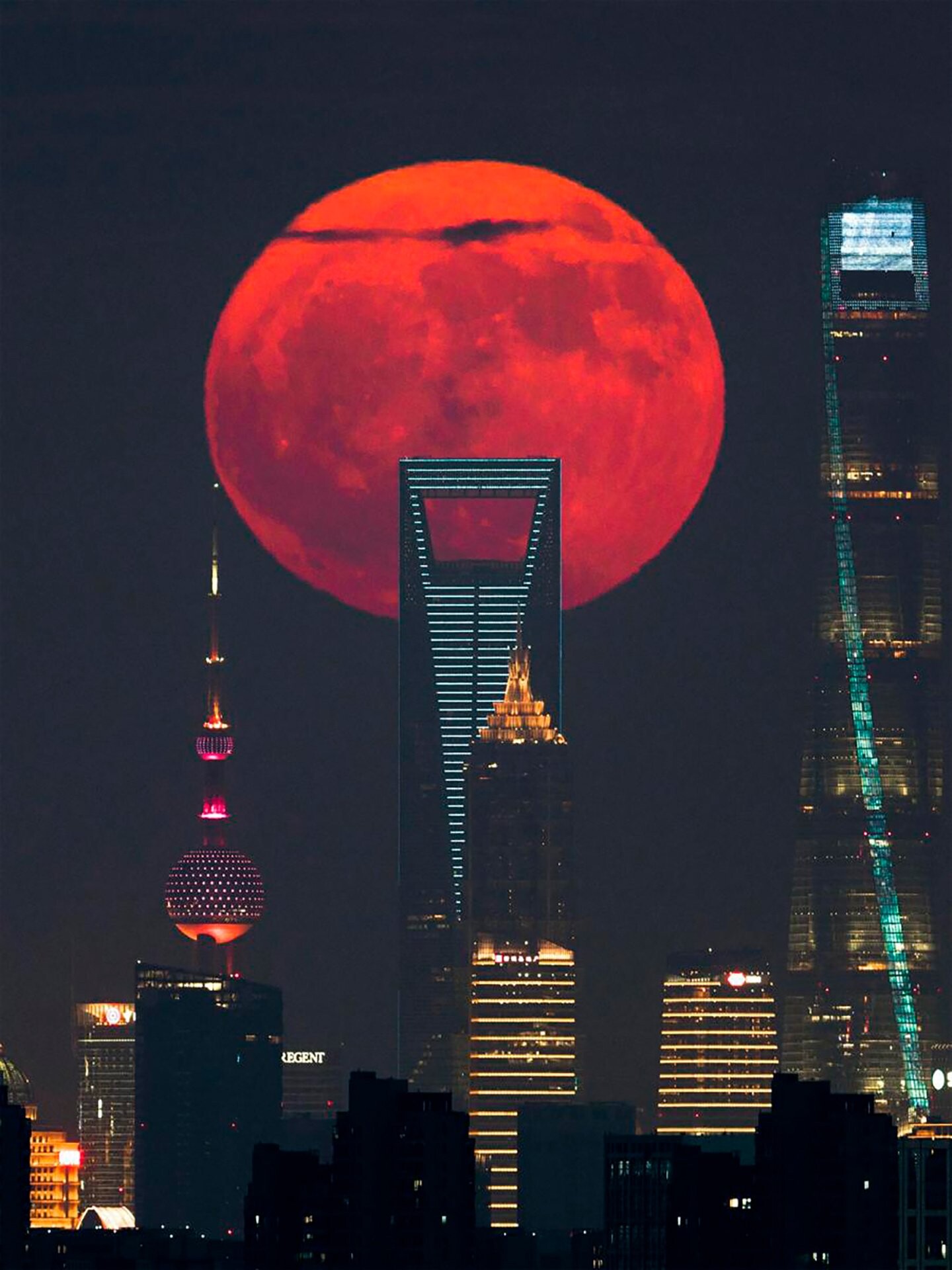 Astronomy Photographer of the Year 1