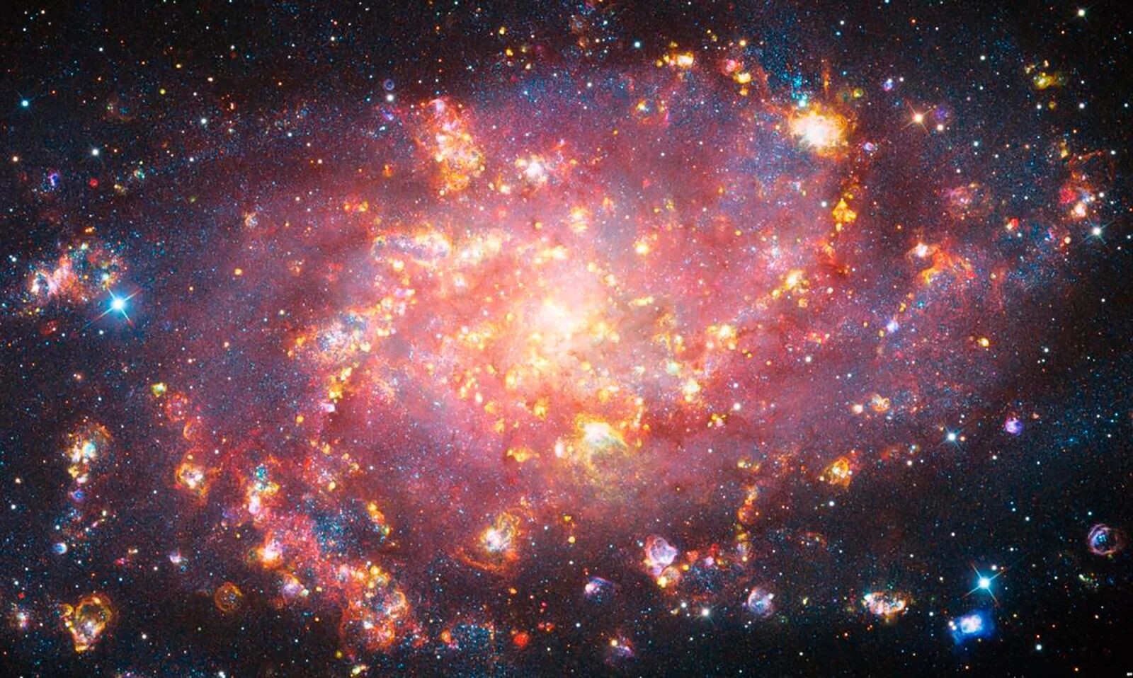 Astronomy Photographer of the Year 11