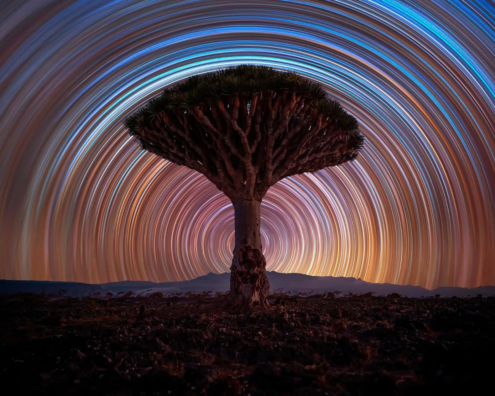 Astronomy Photographer of the Year 8