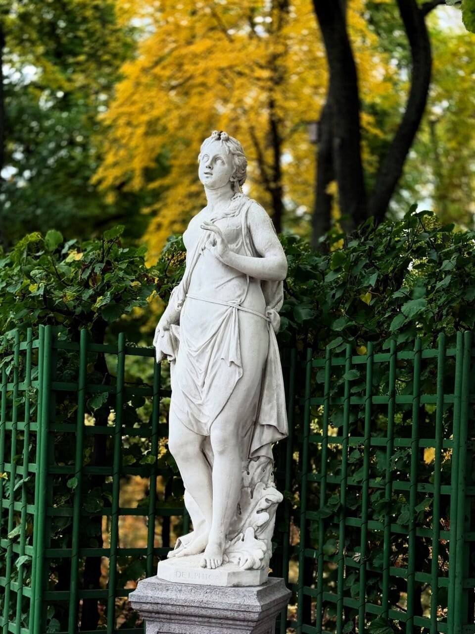 SPb autumn 10