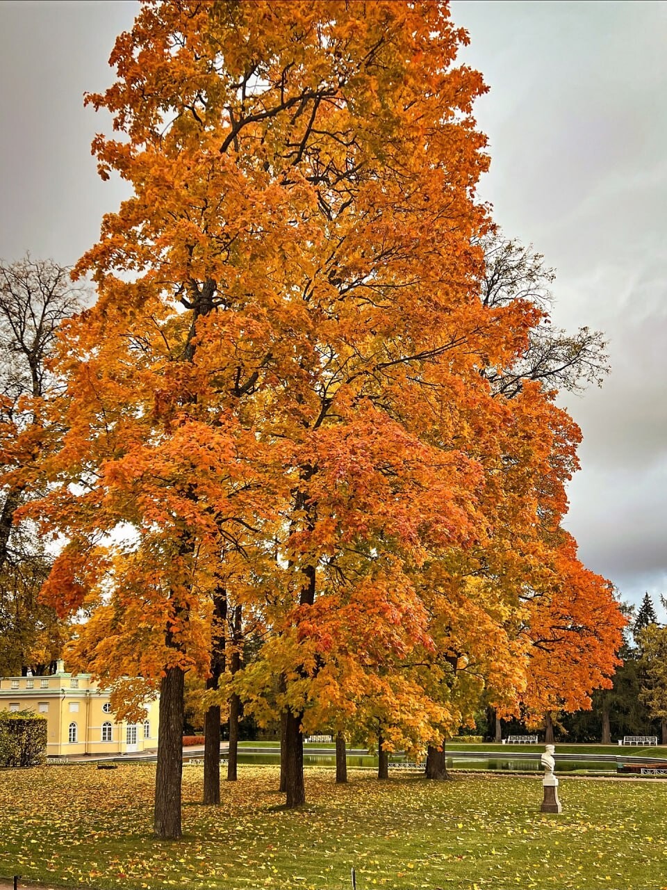 SPb autumn 4