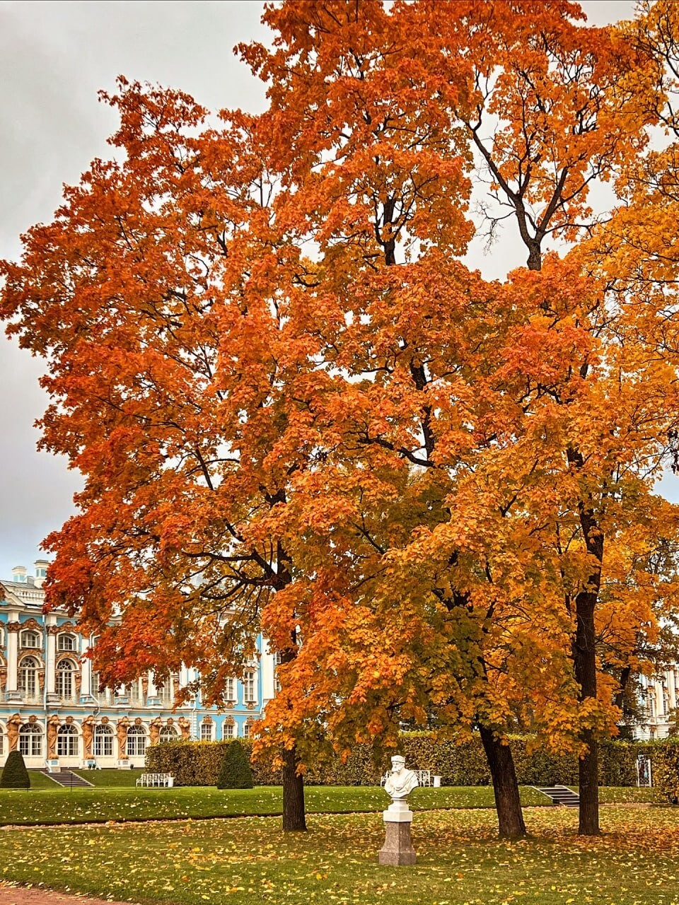 SPb autumn 5