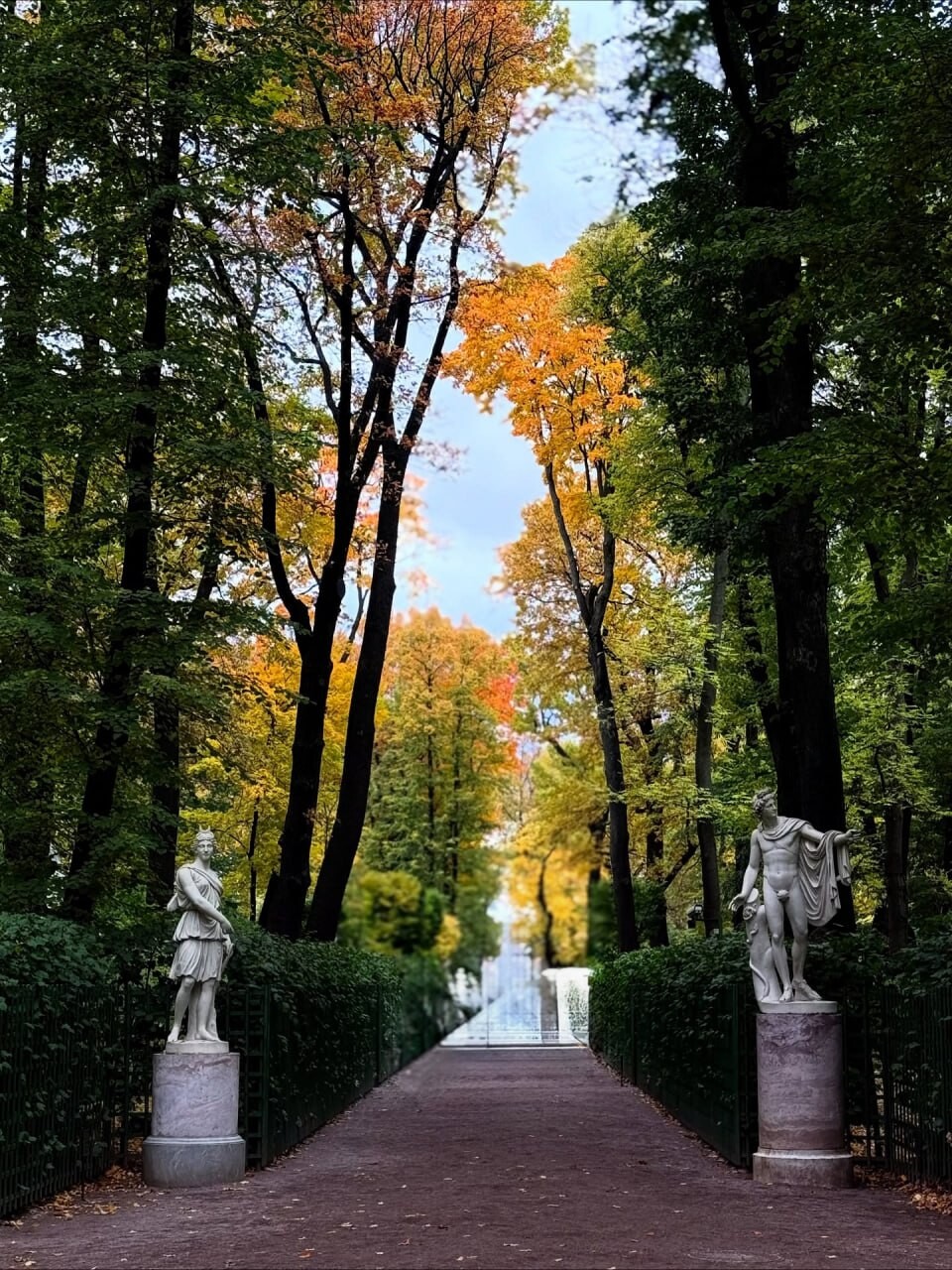SPb autumn 6