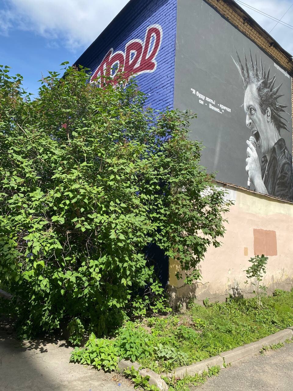 SPb graffiti 8