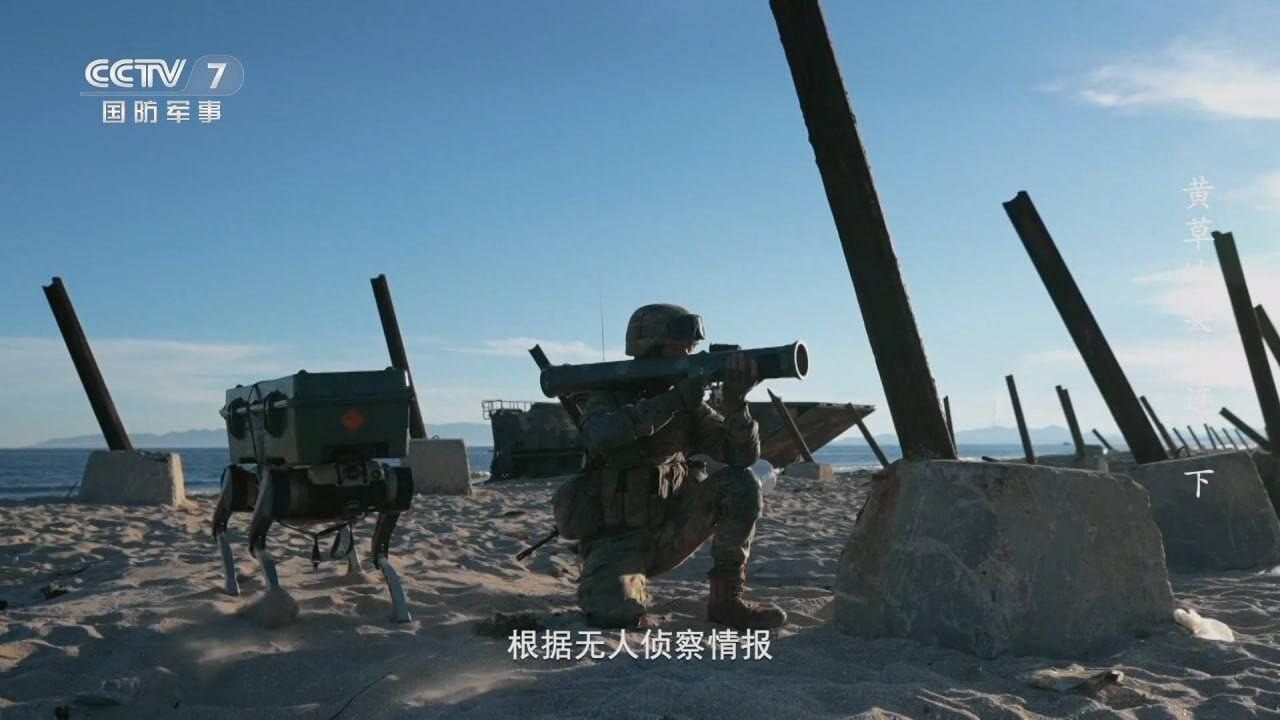 Chinese army 9