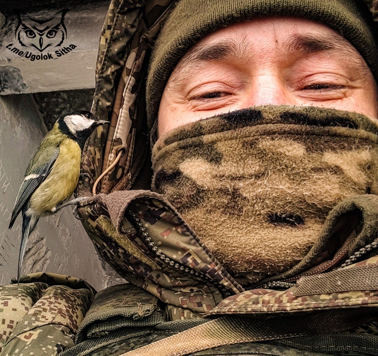 Атмосфера войны