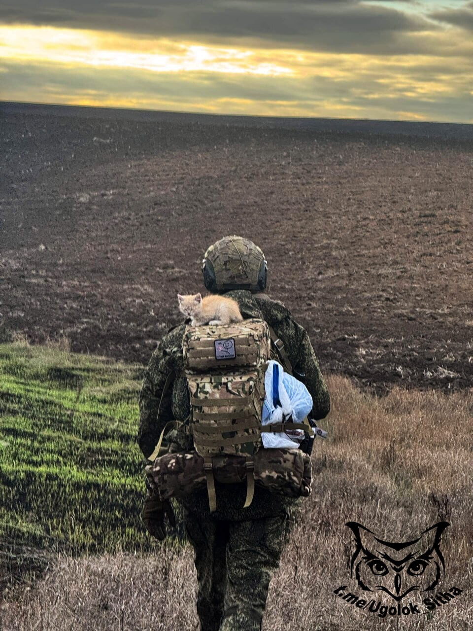 The atmosphere of war 15