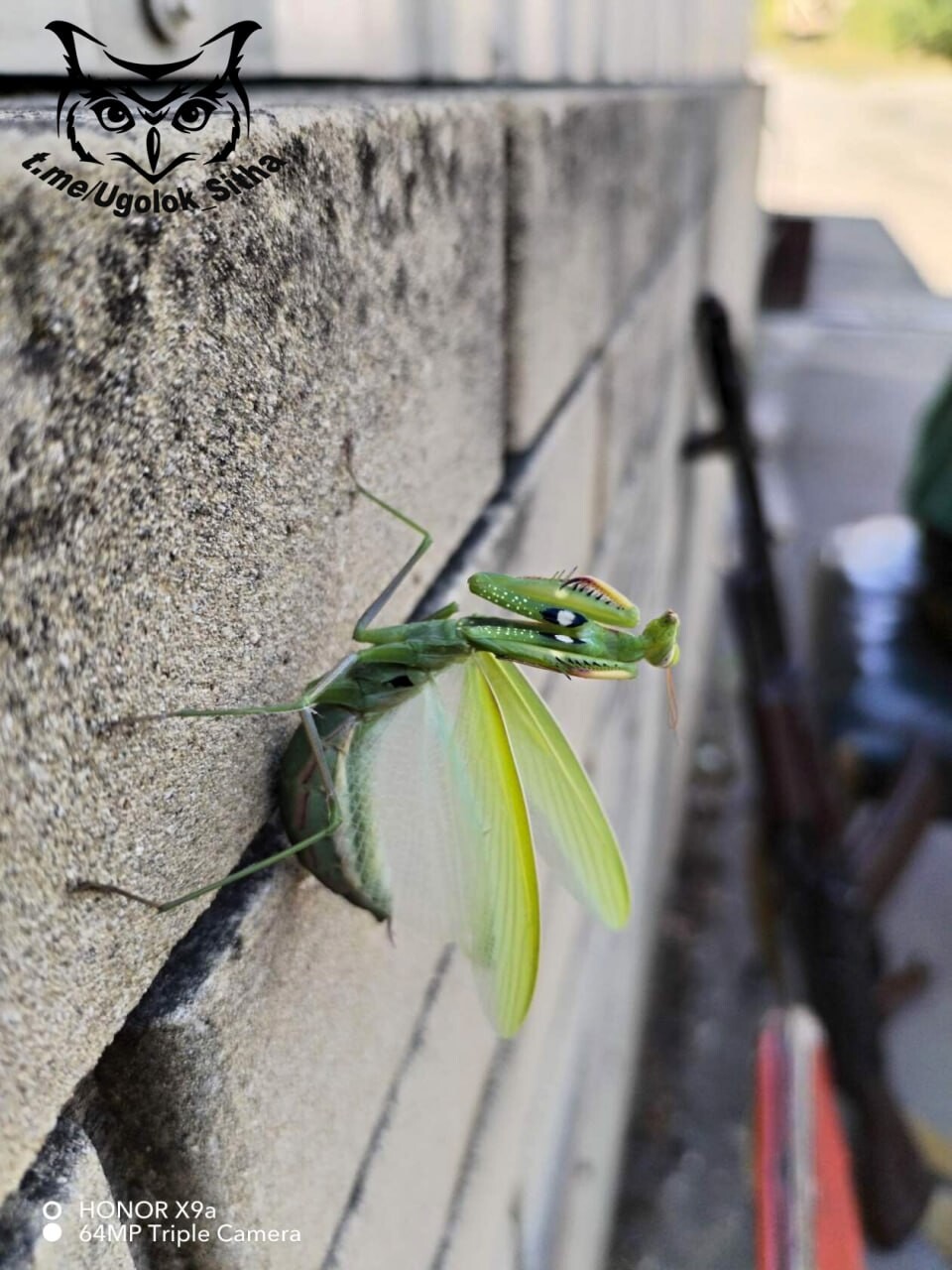 The atmosphere of war 38