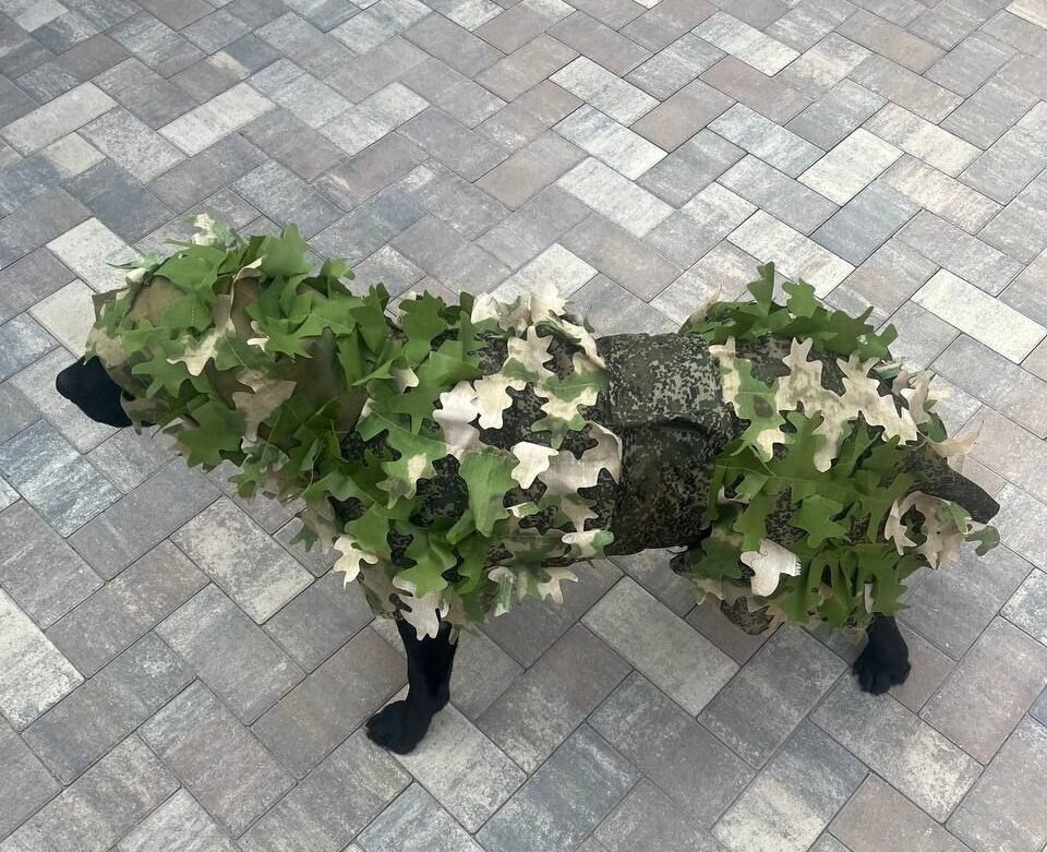 The atmosphere of war 44