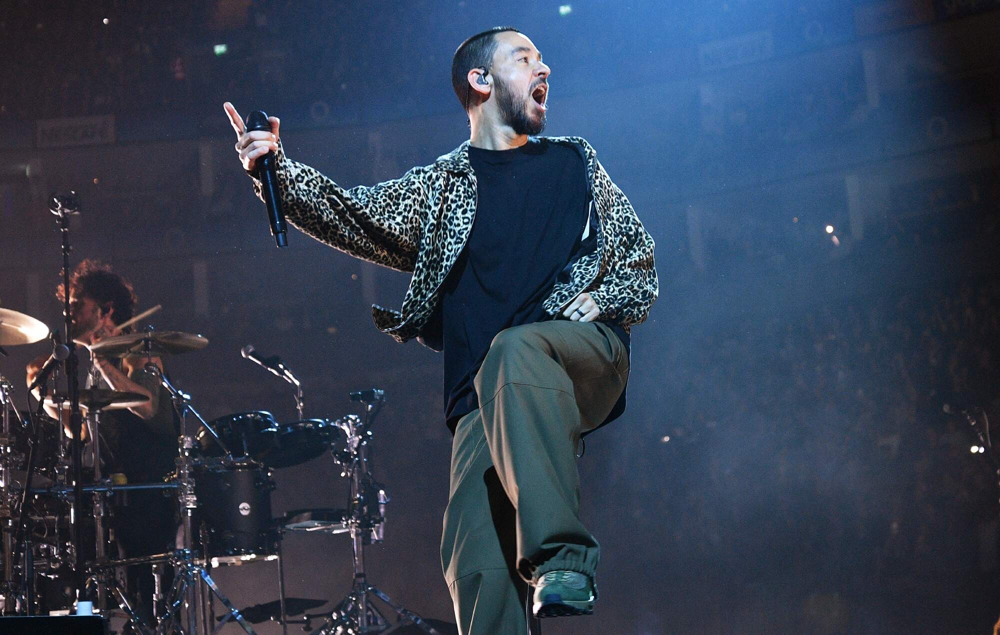 Artist Mike Shinoda 9