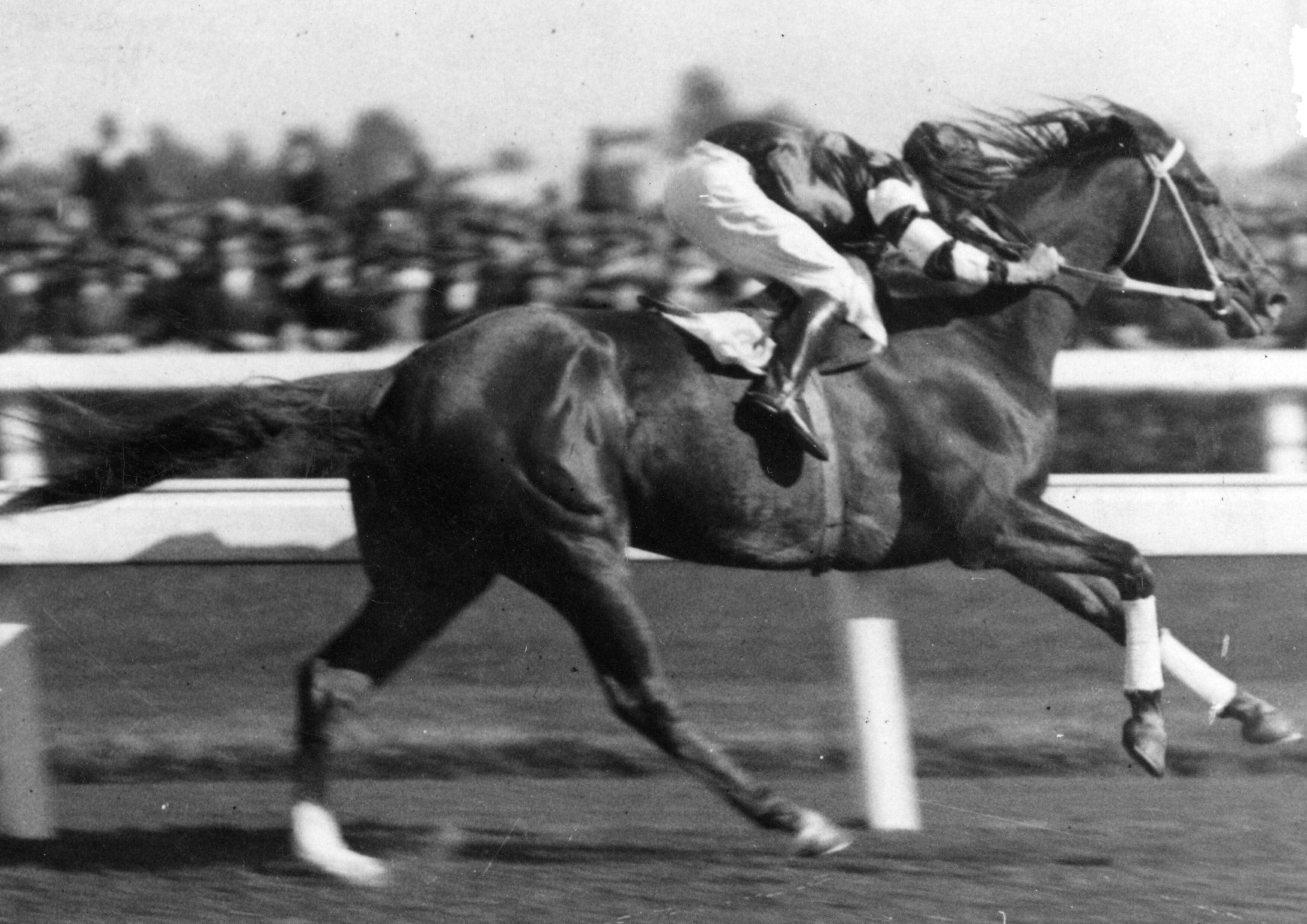 How a dead jockey won a race