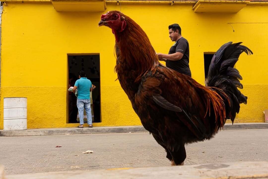 tavepong street photographer 2
