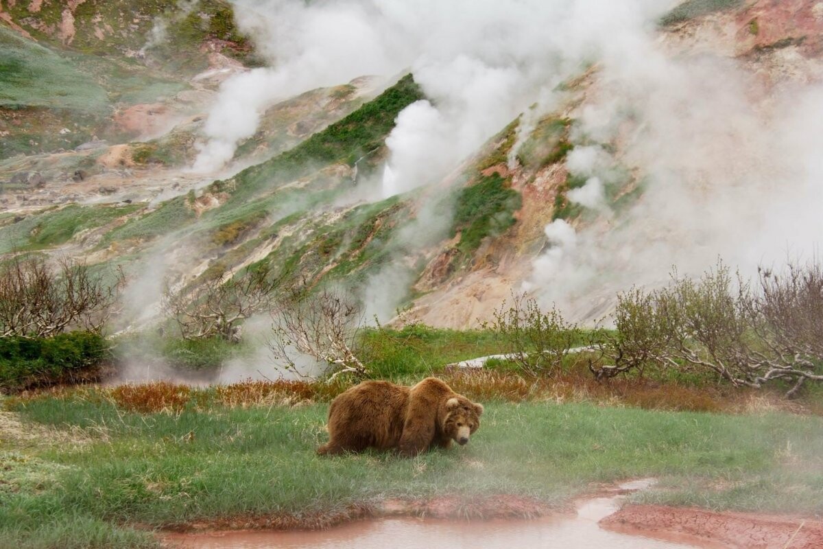 Kamchatka 2