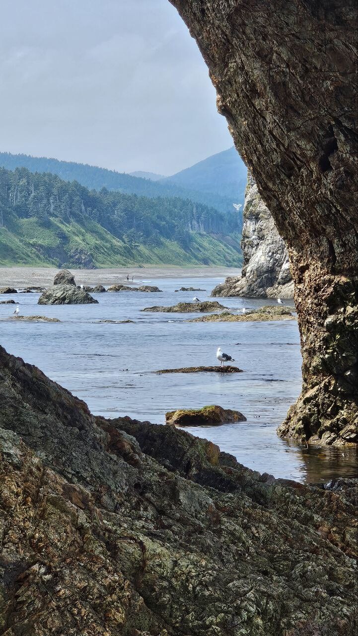 Sakhalin 6