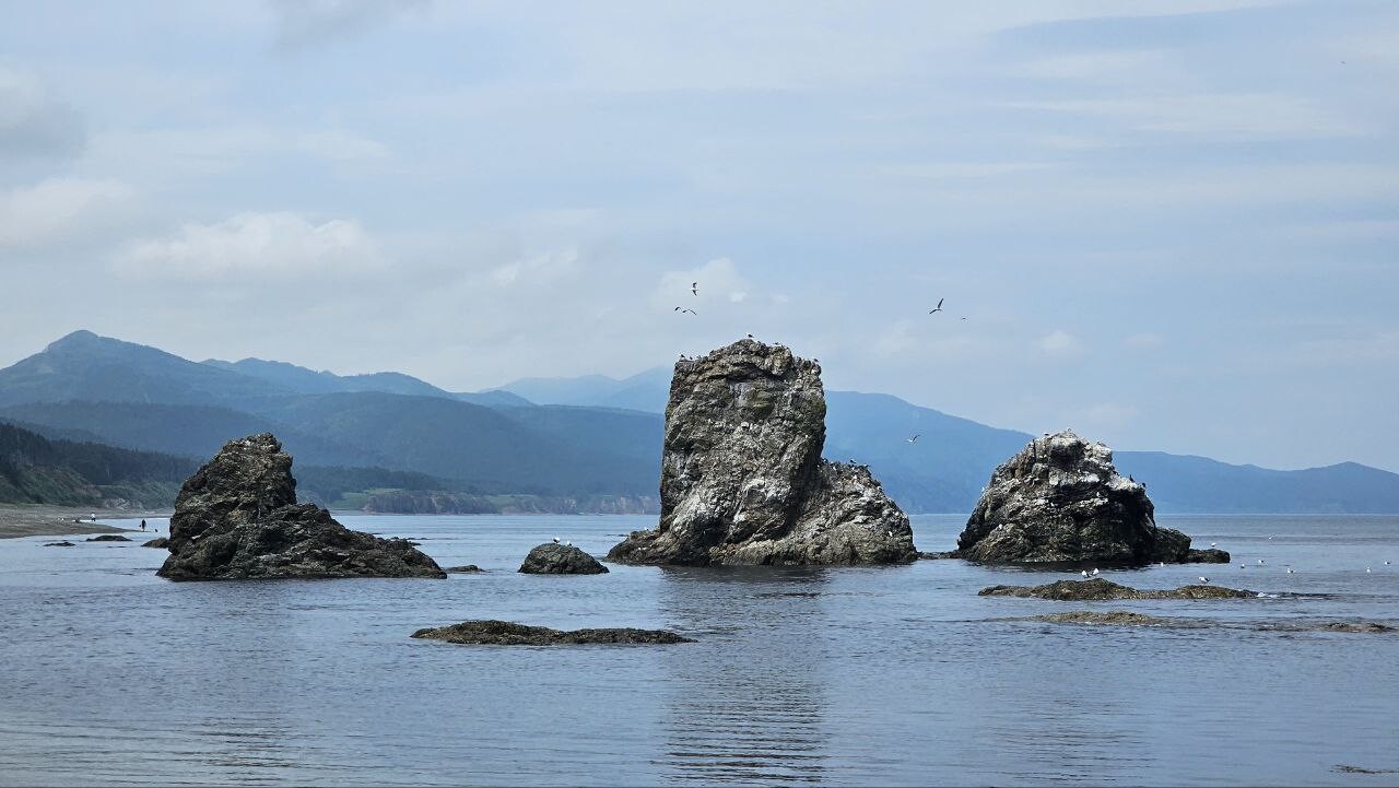 Sakhalin 7