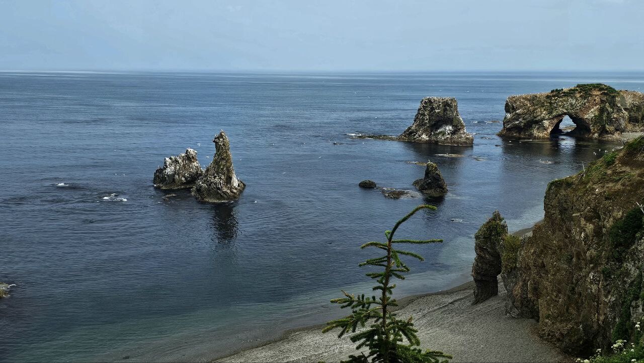 Sakhalin 9