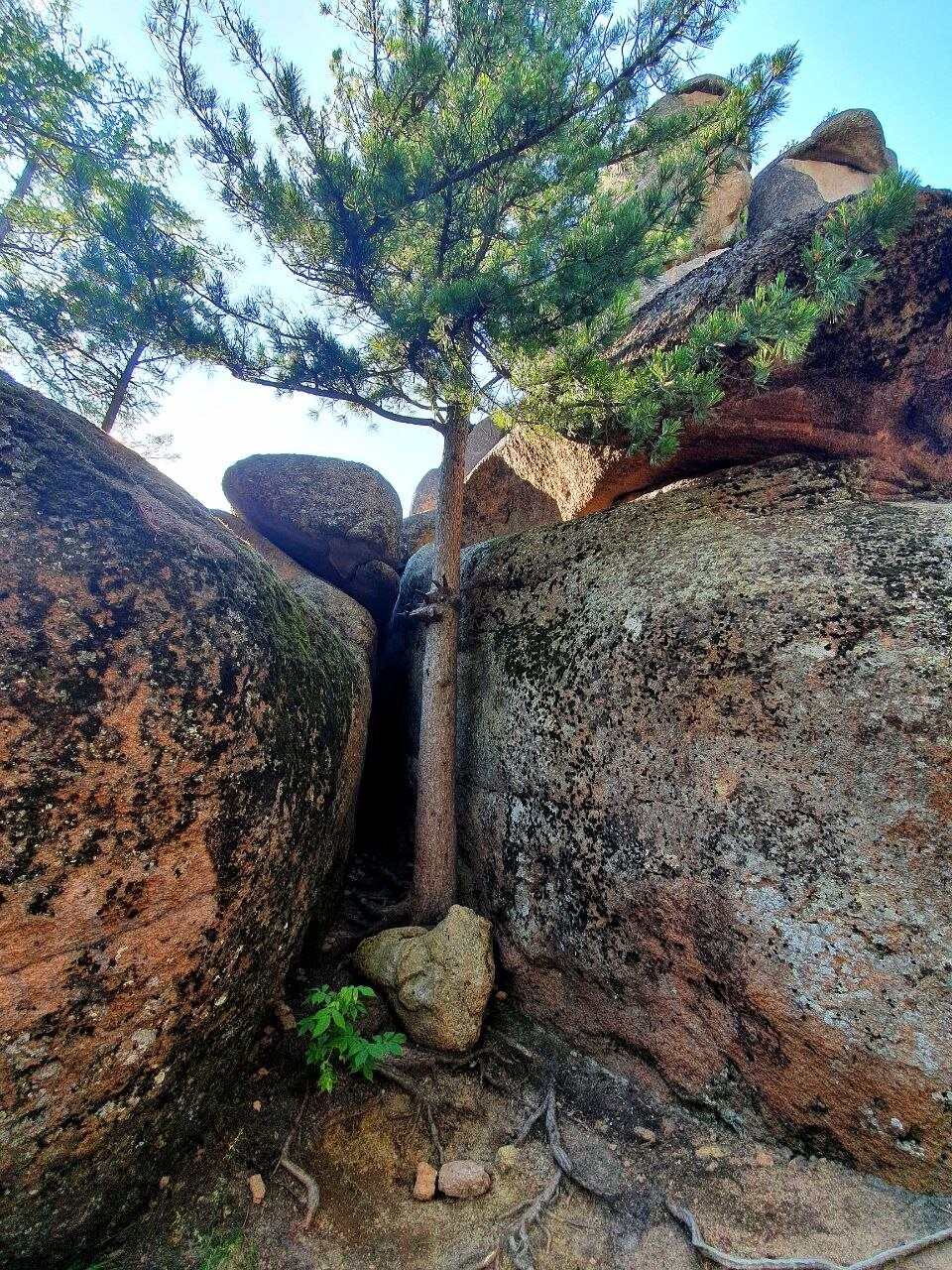Krasnoyarsk Pillars 4